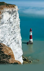 Professional Trusteeship